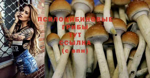 мескалин Нея