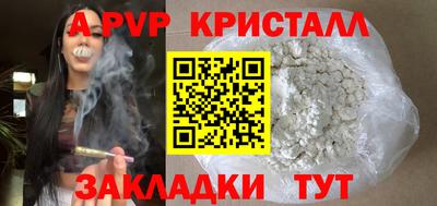 стаф Кунгур