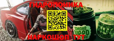 стаф Кунгур