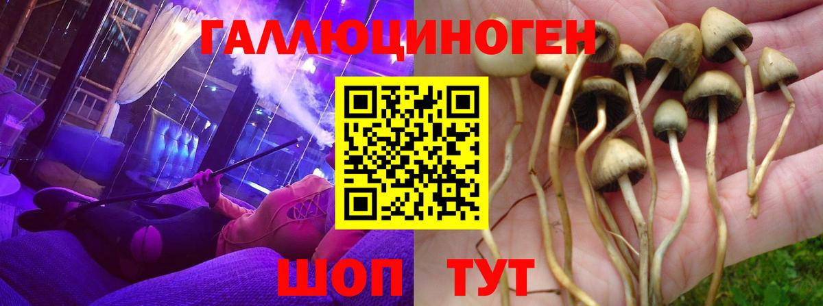 Псилоцибиновые грибы мицелий Павловский Посад