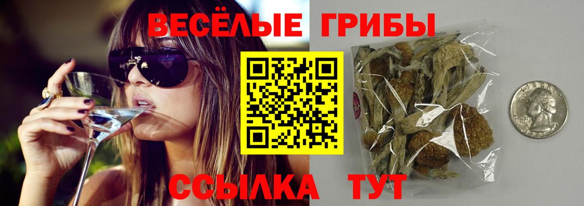 дарнет шоп  Вход с VPN  Павловский Посад  Галлюциногенные грибы мухоморы 